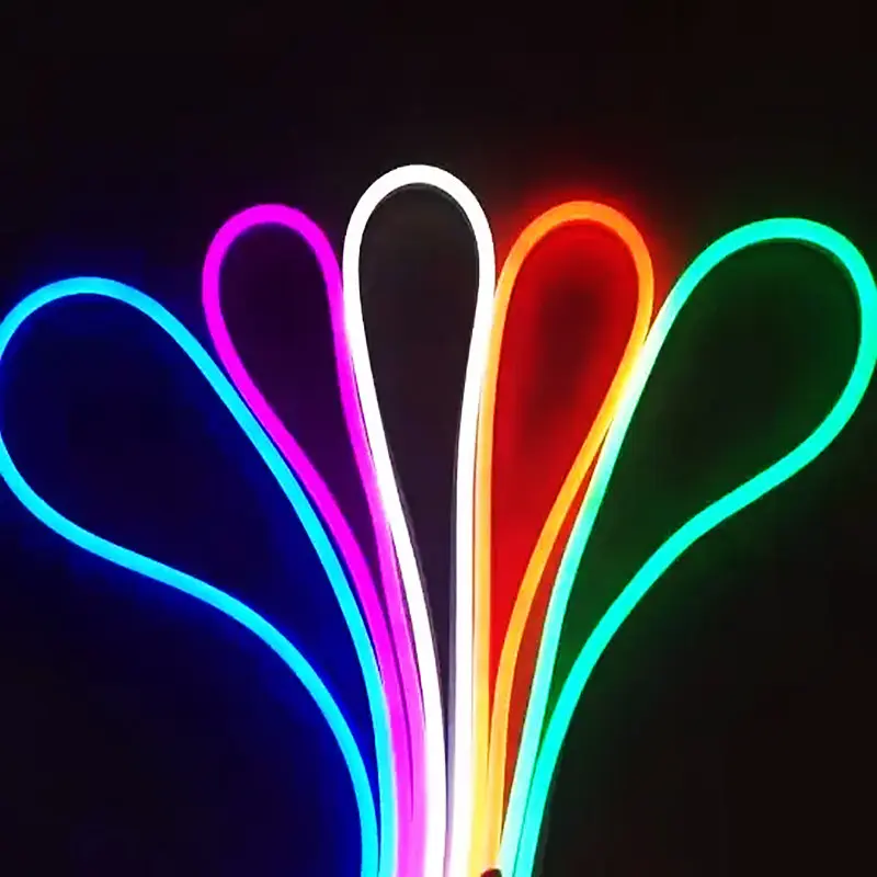 LED Neon Flexible Light Strip light 12V/24V 5m